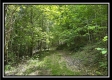 Tract C - The Woods at Tar Hollow property photo