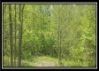 Hidden Ridge Cabin at Siverly property photo