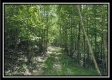 Tract A - The Woods at Tar Hollow property photo