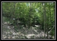 Tract A - The Woods at Tar Hollow property photo