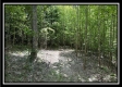 Tract A - The Woods at Tar Hollow property photo