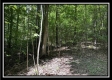 Tract A - The Woods at Tar Hollow property photo