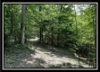 Tract A - The Woods at Tar Hollow property photo