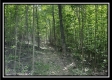 Tract A - The Woods at Tar Hollow property photo