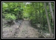 Tract A - The Woods at Tar Hollow property photo