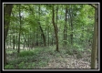 Tract A - The Woods at Tar Hollow property photo