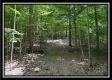 More of Tract A - The Woods at Tar Hollow