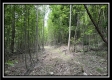 Tract A - The Woods at Tar Hollow property photo