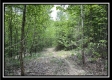 Tract A - The Woods at Tar Hollow property photo