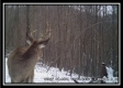 Tract A - The Woods at Tar Hollow property photo