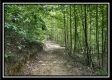 Tract A - The Woods at Tar Hollow property photo
