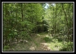 Tract A - The Woods at Tar Hollow property photo