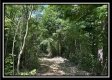 Tract B - The Woods at Tar Hollow property photo