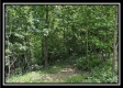 Tract B - The Woods at Tar Hollow property photo