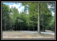 Tract B - The Woods at Tar Hollow property photo