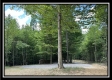 Tract B - The Woods at Tar Hollow property photo