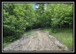 Tract B - The Woods at Tar Hollow property photo