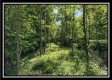 Tract B - The Woods at Tar Hollow property photo