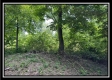 Tract B - The Woods at Tar Hollow property photo