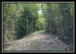 Tract B - The Woods at Tar Hollow property photo