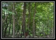 Tract B - The Woods at Tar Hollow property photo