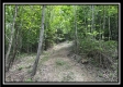 Tract B - The Woods at Tar Hollow property photo