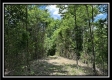 Tract B - The Woods at Tar Hollow property photo