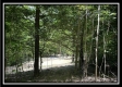Tract B - The Woods at Tar Hollow property photo