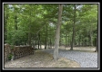 More of Tract B - The Woods at Tar Hollow