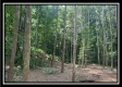 Tract 2 - The Woods at Potts Hill property photo