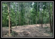 Tract 2 - The Woods at Potts Hill property photo