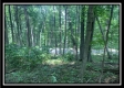 Tract 2 - The Woods at Potts Hill property photo