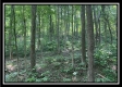 Tract 2 - The Woods at Potts Hill property photo
