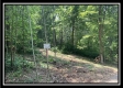 Tract 2 - The Woods at Potts Hill property photo