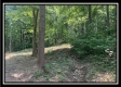 Tract 2 - The Woods at Potts Hill property photo