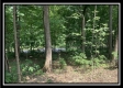 Tract 2 - The Woods at Potts Hill property photo