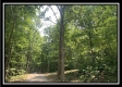 Tract 2 - The Woods at Potts Hill