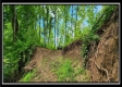 Lot 4 at Creekview Retreat property photo