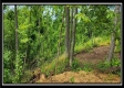 Lot 4 at Creekview Retreat property photo