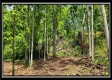 Lot 4 at Creekview Retreat property photo