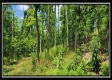 Lot 4 at Creekview Retreat property photo