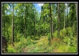 Lot 4 at Creekview Retreat property photo