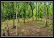 Lot 4 at Creekview Retreat property photo