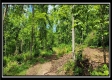 Lot 4 at Creekview Retreat property photo
