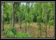 More of Lot 4 at Creekview Retreat