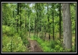 Lot 4 at Creekview Retreat property photo