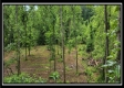 Lot 4 at Creekview Retreat property photo
