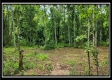 Lot 4 at Creekview Retreat property photo