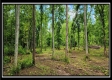 Lot 4 at Creekview Retreat property photo