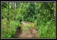 Lot 4 at Creekview Retreat property photo